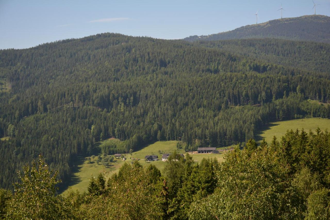 Ferienhaus Kristina/Hebalm Deutschlandsberg Zewnętrze zdjęcie
