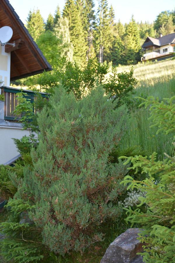 Ferienhaus Kristina/Hebalm Deutschlandsberg Zewnętrze zdjęcie